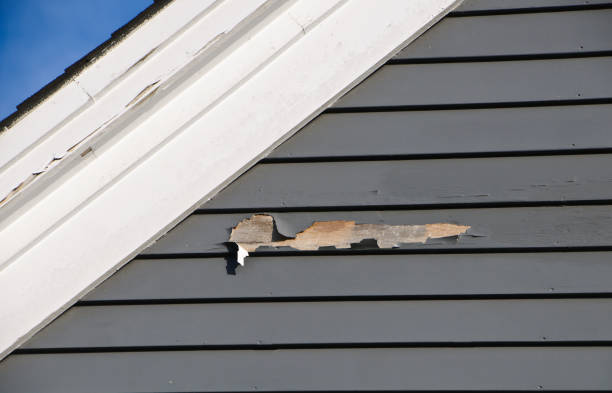 Fullerton, NE Siding Installation & Repair Company